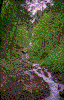 Click on thumbnail to view a full-size image