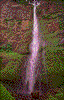 Click on thumbnail to view a full-size image