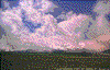 Click on thumbnail to view a full-size image