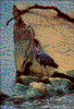 Click on thumbnail to view a full-size image