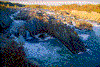 Click on thumbnail to view a full-size image