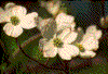 Click on thumbnail to view a full-size image