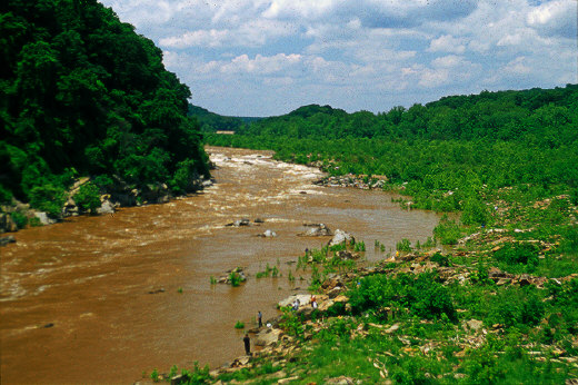 Potomac River after rain