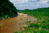 Click on thumbnail to view a full-size image