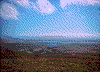 Click on thumbnail to view a full-size image