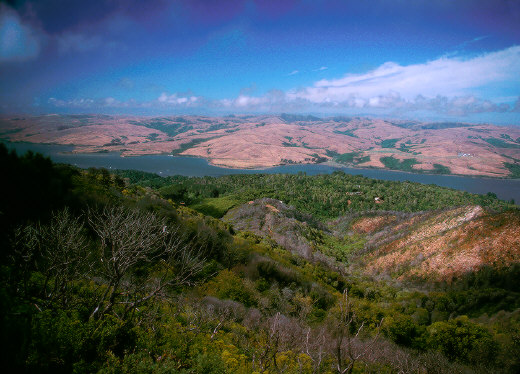 View of Tomales Bay from Mount Vision