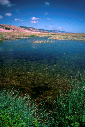 Small pool near Limantour Beach