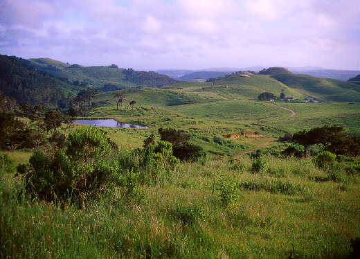Hilly lanscape of the central section of the Point Reyes