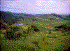 Click on thumbnail to view a full-size image