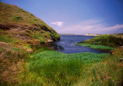 Home Bay