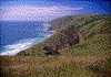 Click on thumbnail to view a full-size image