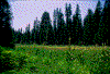 Click on thumbnail to view a full-size image