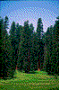 Click on thumbnail to view a full-size image
