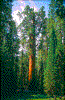 Click on thumbnail to view a full-size image