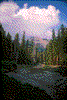 Click on thumbnail to view a full-size image