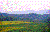 Click on thumbnail to view a full-size image