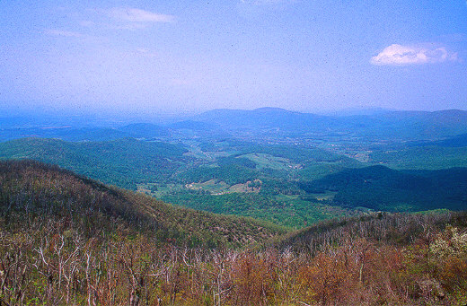 View from the Skyline Drive