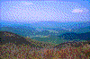 Click on thumbnail to view a full-size image