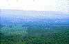Click on thumbnail to view a full-size image