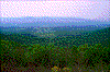 Click on thumbnail to view a full-size image