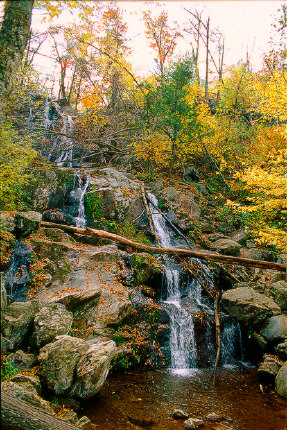 Upper Dark Hollow Falls