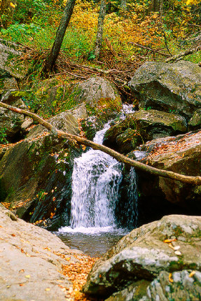Lower Whiteoak Canyon Falls