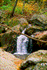 Click on thumbnail to view a full-size image