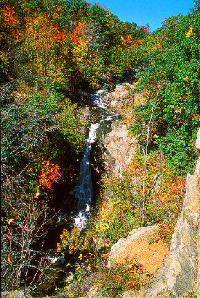 Upper Whiteoak Canyon Falls