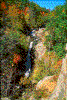 Click on thumbnail to view a full-size image