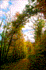 Click on thumbnail to view a full-size image