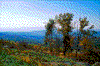 Click on thumbnail to view a full-size image