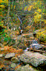 Click on thumbnail to view a full-size image