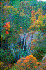 Click on thumbnail to view a full-size image