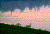 Click on thumbnail to view a full-size image