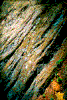 Click on thumbnail to view a full-size image