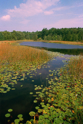 Crooked Lake, Pinckney Recreation Area