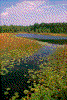 Click on thumbnail to view a full-size image