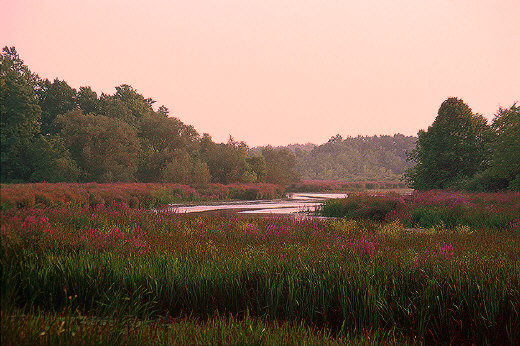 Mill Creek