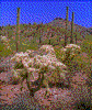 Click on thumbnail to view a full-size image