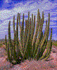 Click on thumbnail to view a full-size image