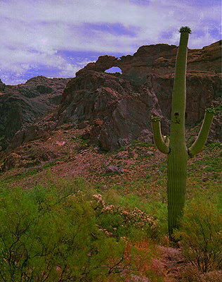 Arch Canyon
