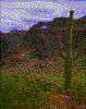 Click on thumbnail to view a full-size image