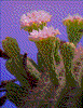 Click on thumbnail to view a full-size image