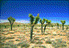 Click on thumbnail to view a full-size image