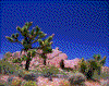 Click on thumbnail to view a full-size image