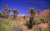 Click on thumbnail to view a full-size image