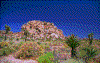 Click on thumbnail to view a full-size image