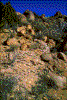 Click on thumbnail to view a full-size image