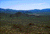 Click on thumbnail to view a full-size image