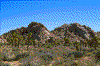 Click on thumbnail to view a full-size image